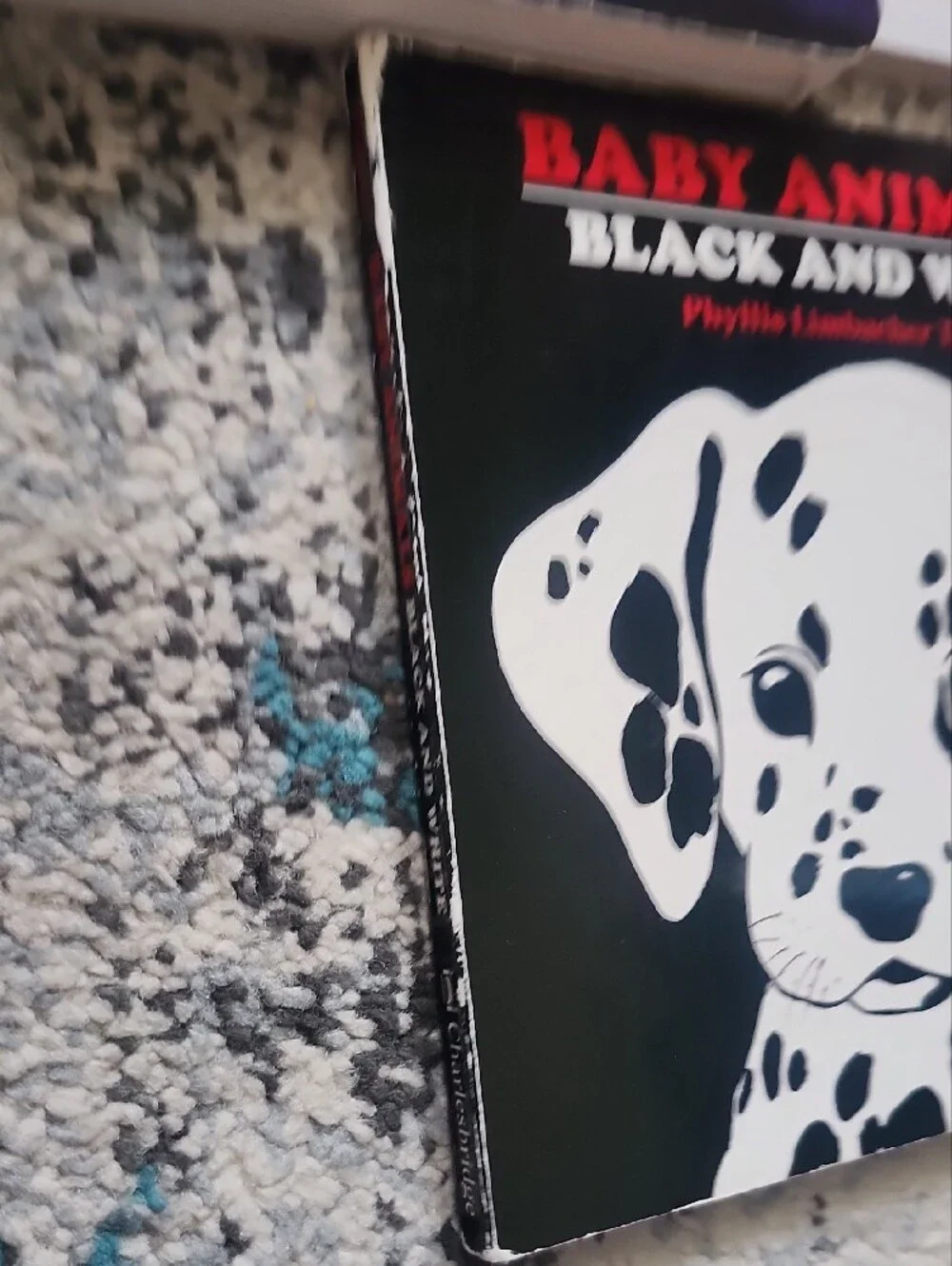 11 Children's Assorted Board Book Titles
